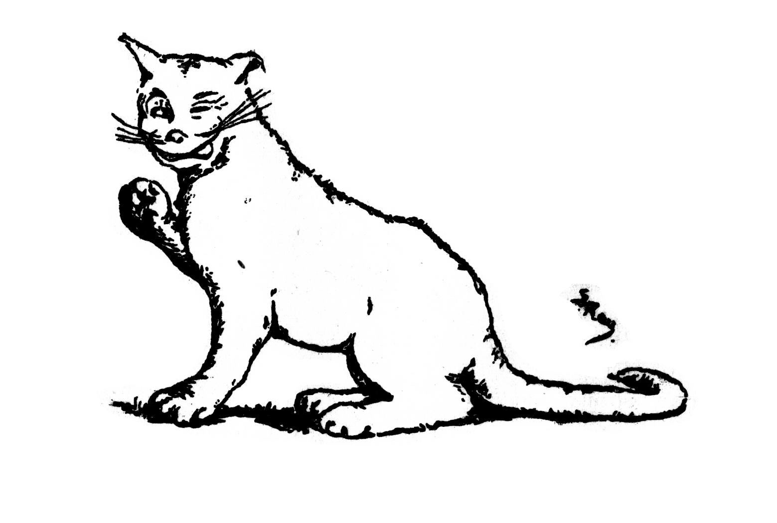 drawing